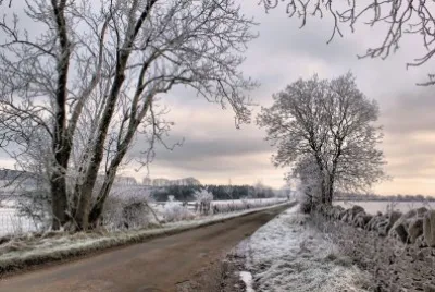 frosty lane jigsaw puzzle