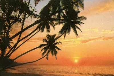 Posta de sol jigsaw puzzle