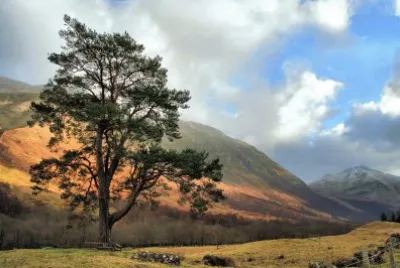 Nevis range Scotland