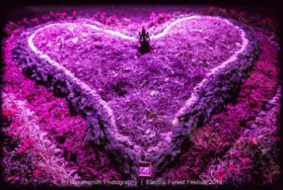 פאזל של Electric Forest Festival-Photography Art