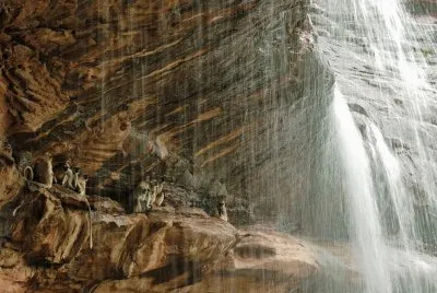 monkeys and waterfall