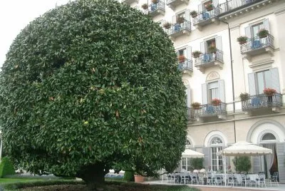 Stresa