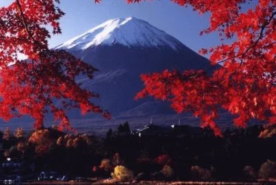 Paisatje jigsaw puzzle