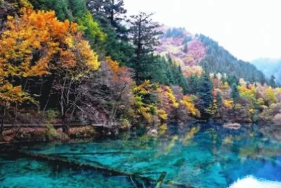 Five Flower Lake
