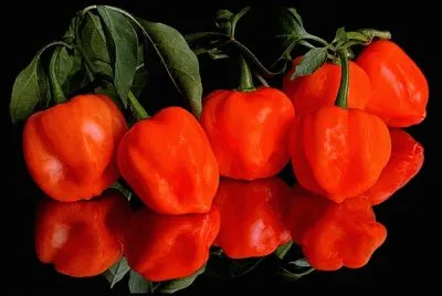 chilis