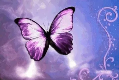 imagina jigsaw puzzle
