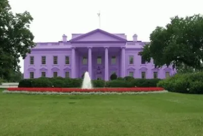 פאזל של Purple White House-Washington DC