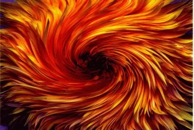 Red flower swirl