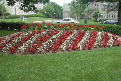 פאזל של JARDINES WASHINTONG.