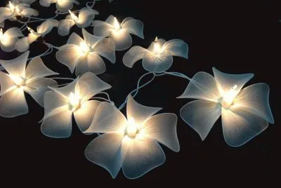 flower lights jigsaw puzzle