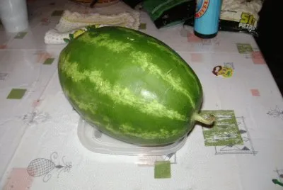פאזל של general