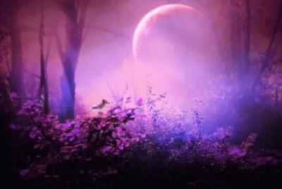 פאזל של Misty Moon in Purple Forest