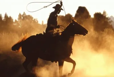 cowboy country