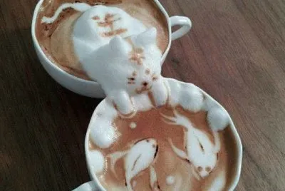 cocoa