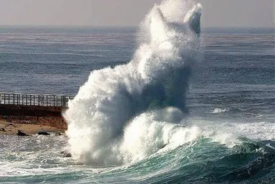 cat wave