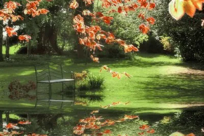 Bench jigsaw puzzle
