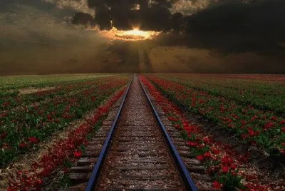 paisagem jigsaw puzzle