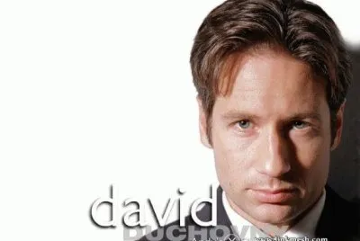 פאזל של MULDER