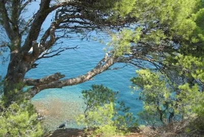 Natura jigsaw puzzle