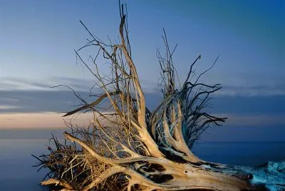 beer can island
