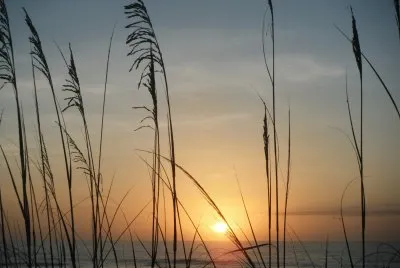 sunset on the gulf