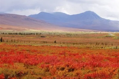 august on the high plains