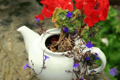 teapot flowers