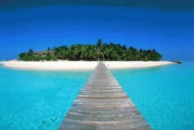 UN PEQUEÃ‘O PARAÃSO jigsaw puzzle