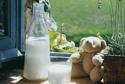 aliments jigsaw puzzle
