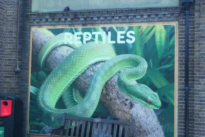 Zoo in London 2