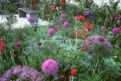 פאזל של Lush Flower Garden