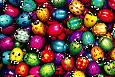 mariquitas de colores jigsaw puzzle