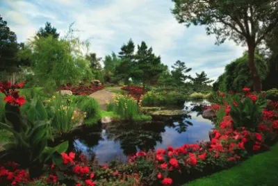 estanque jigsaw puzzle