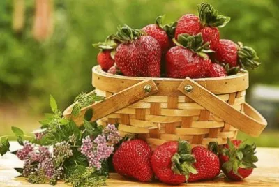 canasta jigsaw puzzle
