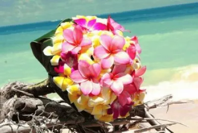 flor de mayo jigsaw puzzle