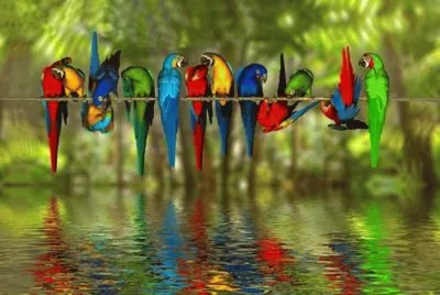 abanico de clores jigsaw puzzle