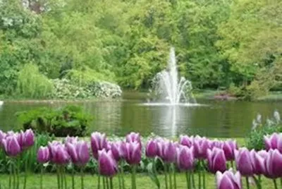 paisaje34