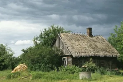 thatched roof farmhouse