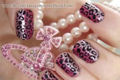 collares jigsaw puzzle