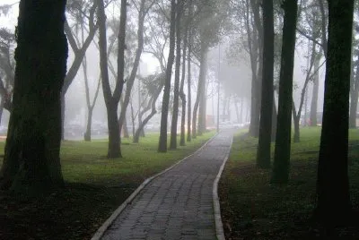 sendero de niebla jigsaw puzzle