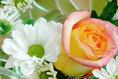 flores jigsaw puzzle