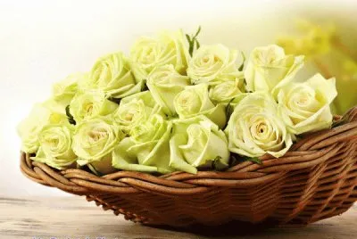 flores amarillo jigsaw puzzle