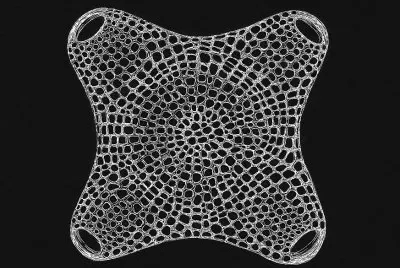 diatom