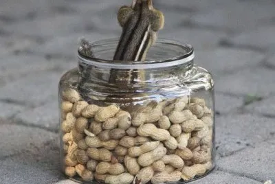 things