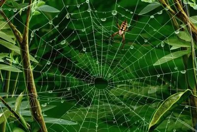 natural weaving