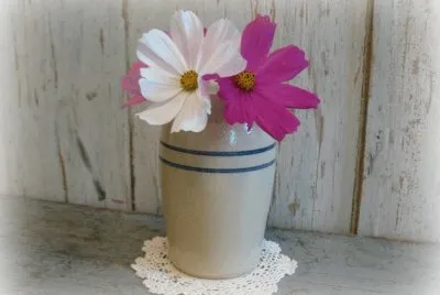 Cosmos in crock jigsaw puzzle