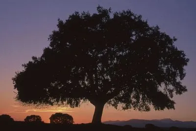 sierra de Ayllon , Guadalajara , EspaÃ±a