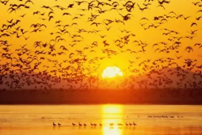 una de las mas bellas