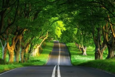 tÃ­pica carretera de Irlanda