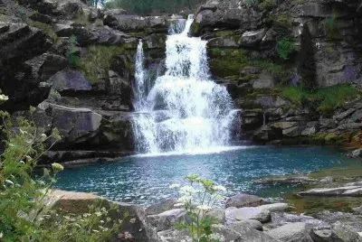 naturaleza viva